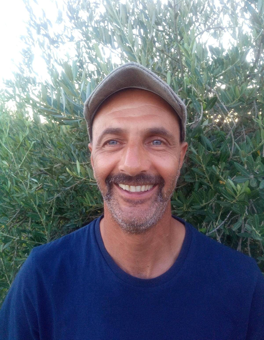 Ascanio Sammarco - Alberami