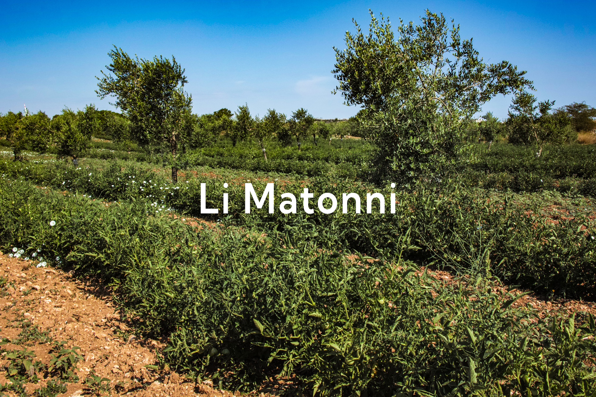 Li Mattoni