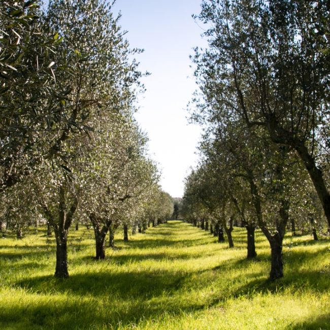 climate change e carbon farming climate change e carbon farming
